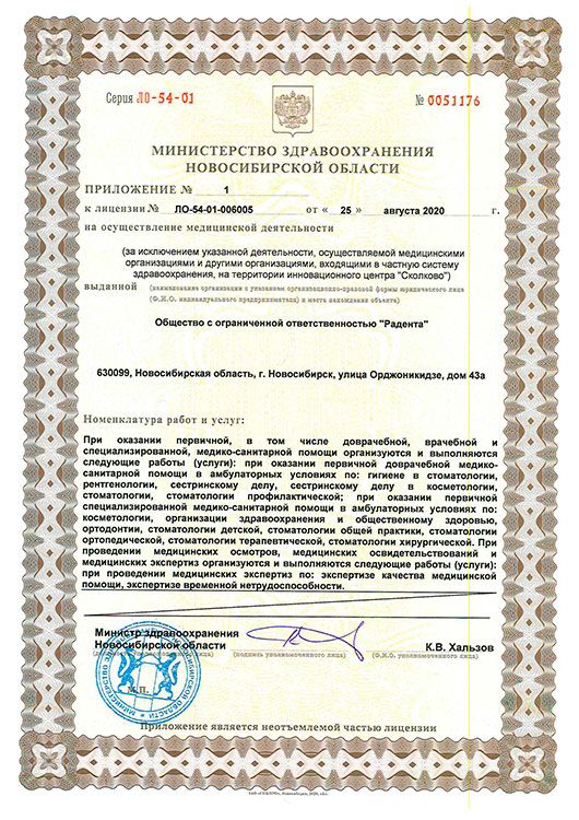Лицензия № ЛО-54-01-006005 от 25.08.20 прилож.